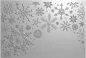 Preview: Sparkling Snowflakes Partial 3D prägeschablone crafters companion 1