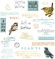 Preview: Bird Song Sizzix & 49 and Market Framelits Stanzen & Stempel