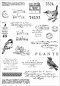 Preview: Bird Song Sizzix & 49 and Market Framelits Stanzen & Stempel 1