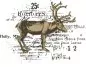 Preview: Reindeer Mix Cluster Sizzix & 49 and Market Framelits Stanzen & Stempel