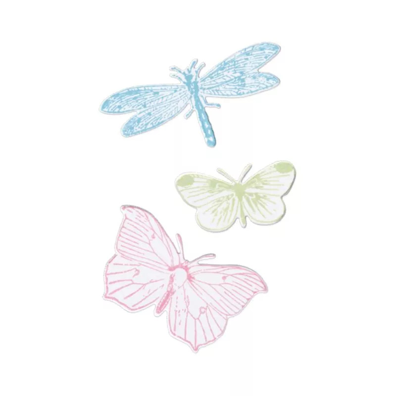 Engraved Wings Sizzix & 49 and Market Framelits Stanzen & Stempel