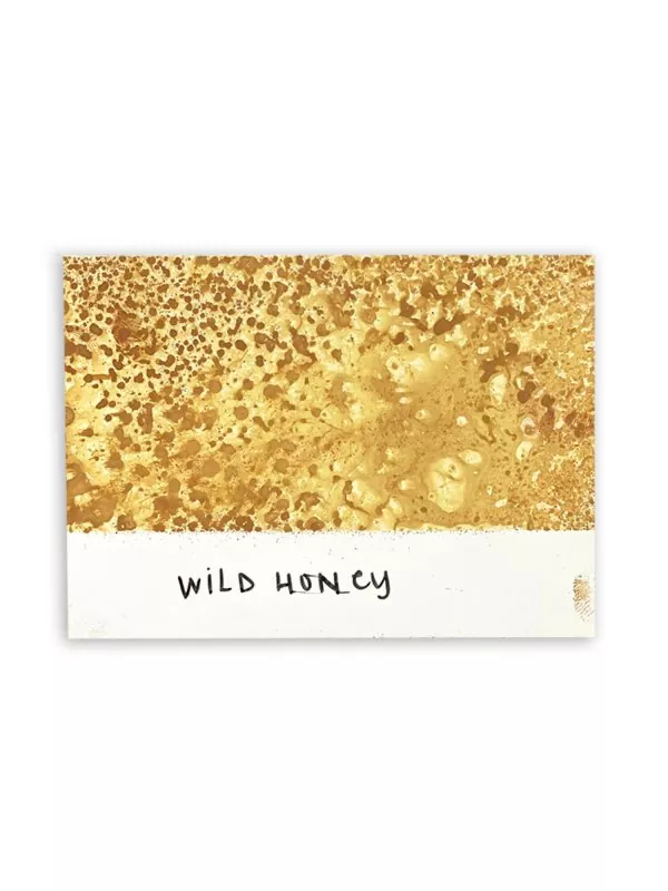 ranger distress spray stain Wild Honeytim holtz 1